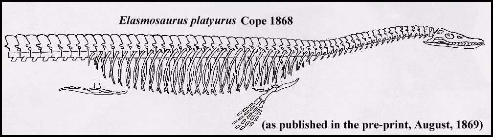 Cope Elasmosaurus Error