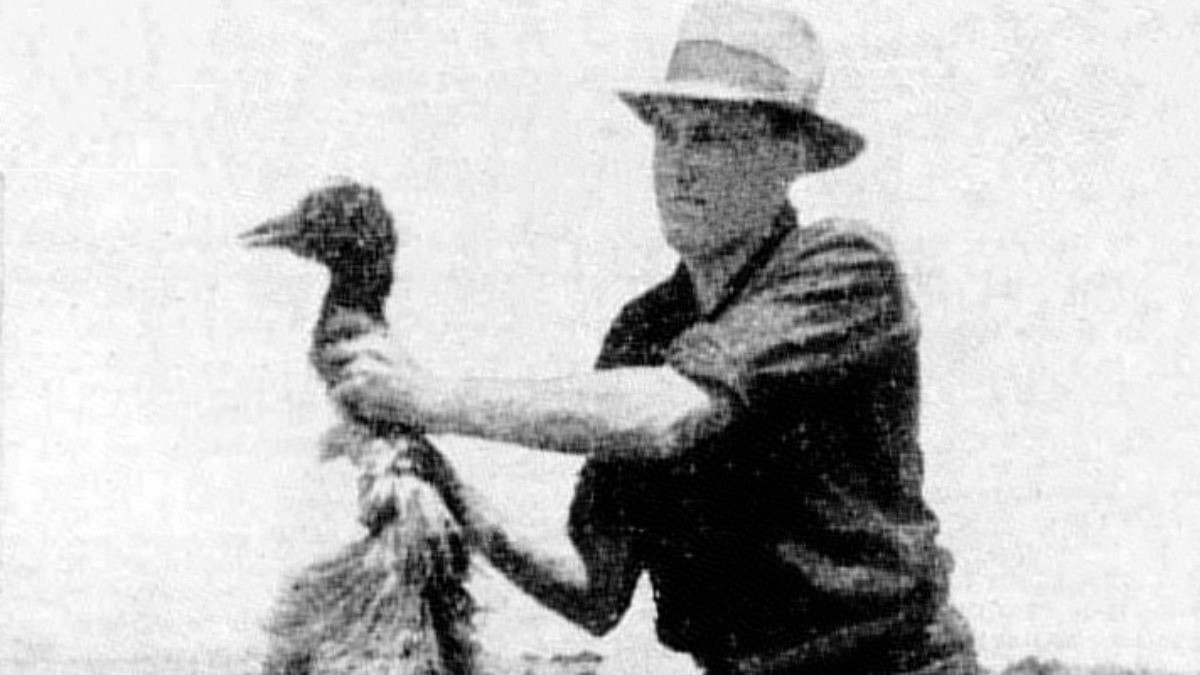 Great Emu War 1932